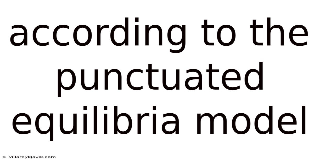 According To The Punctuated Equilibria Model