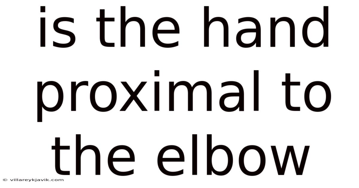 Is The Hand Proximal To The Elbow