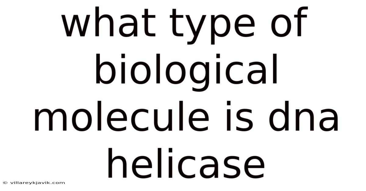 What Type Of Biological Molecule Is Dna Helicase