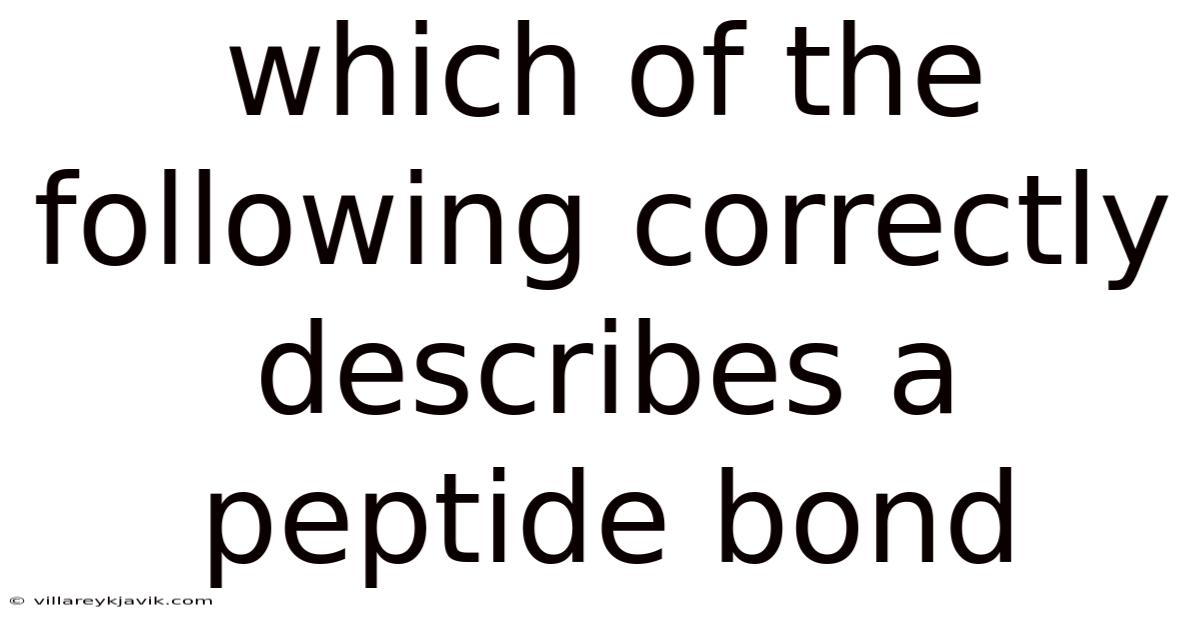 Which Of The Following Correctly Describes A Peptide Bond